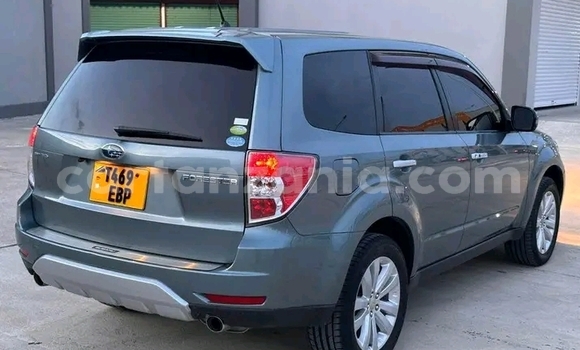 Buy Used Subaru Forester Green Car in Dodoma in Dodoma Buy Used Subaru Forester Green Car in Dodoma in Dodoma