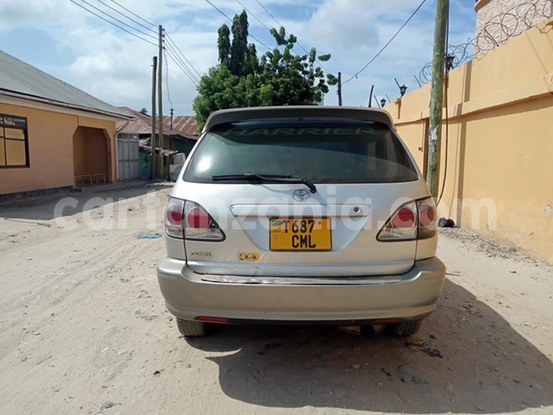 Big with watermark 52565992 194081258218920 3161205820889235456 o