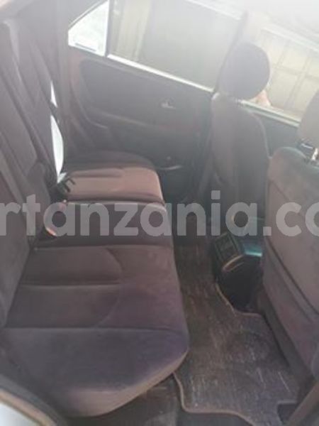 Big with watermark 52527201 194081234885589 6621353069365952512 n