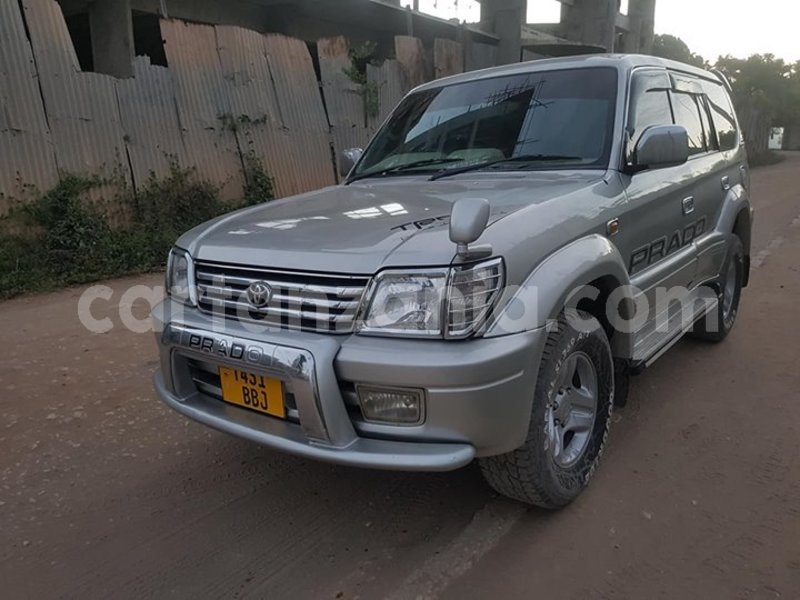 Big with watermark 52065940 194237508203295 2214509696440598528 o