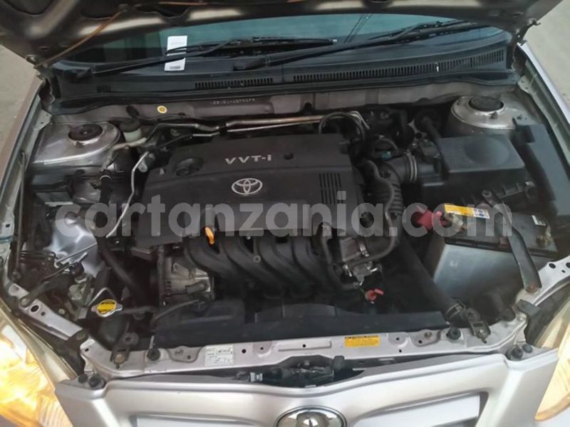 Big with watermark 51877529 194234811536898 5364686659788996608 o