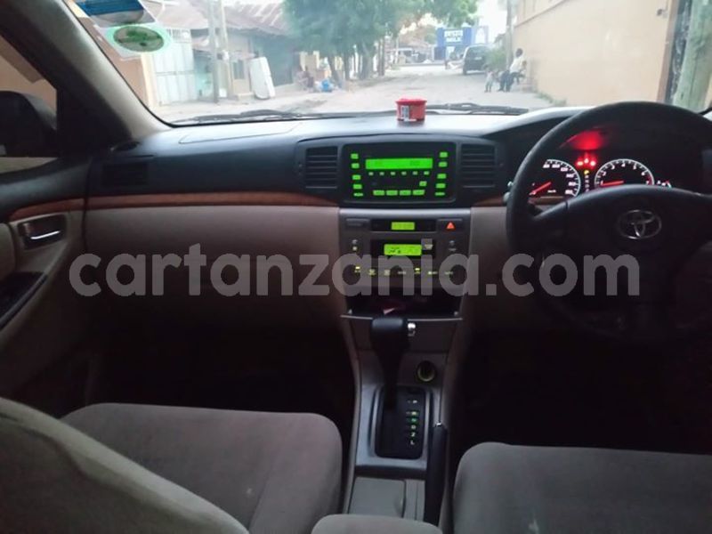 Big with watermark 52547515 194234848203561 6629452149325561856 o