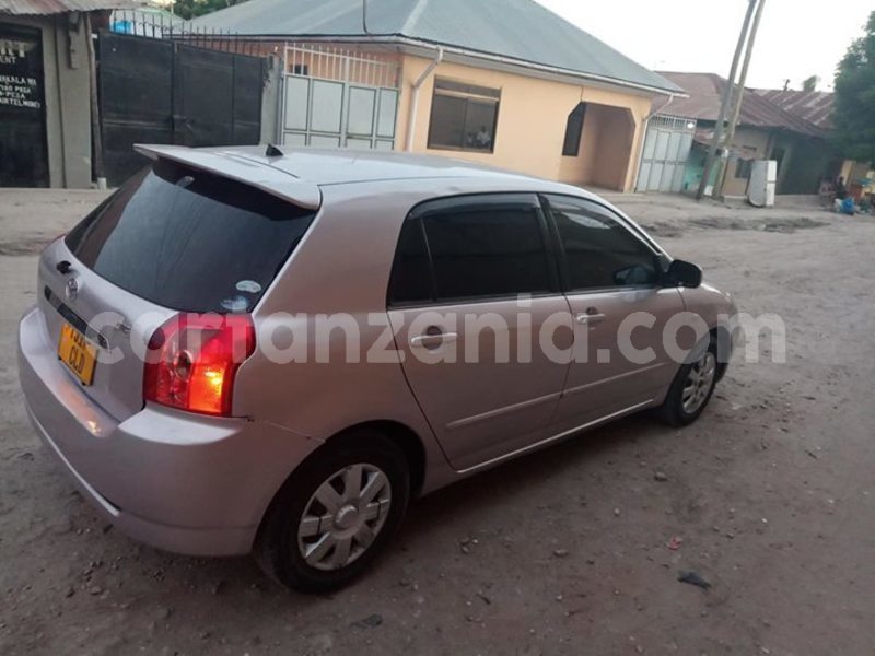 Big with watermark 52354617 194234948203551 3706517009345806336 o