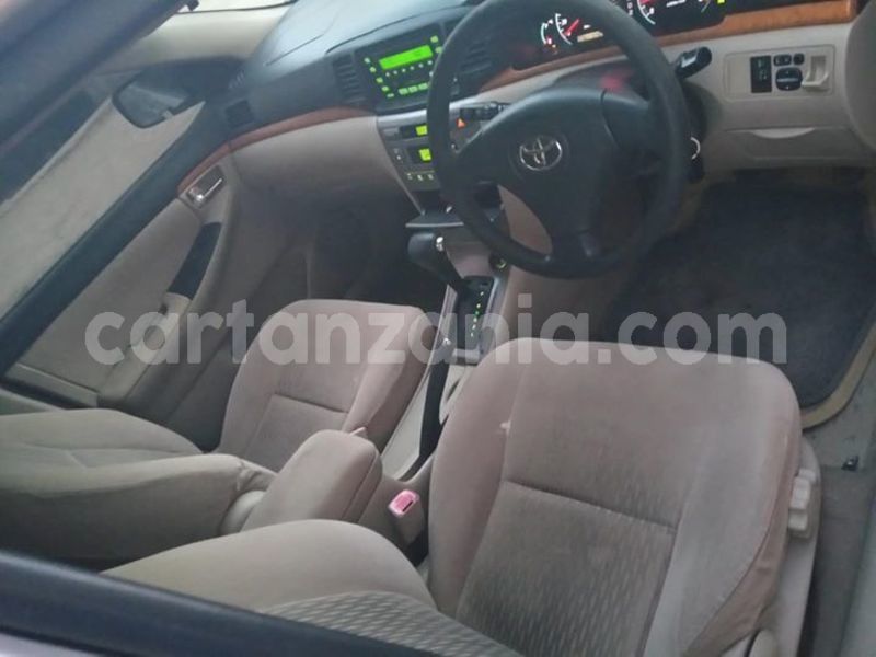 Big with watermark 52415961 194235041536875 4986200423539933184 o