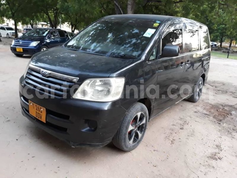 Big with watermark 51885825 193851804908532 9071726345179889664 o