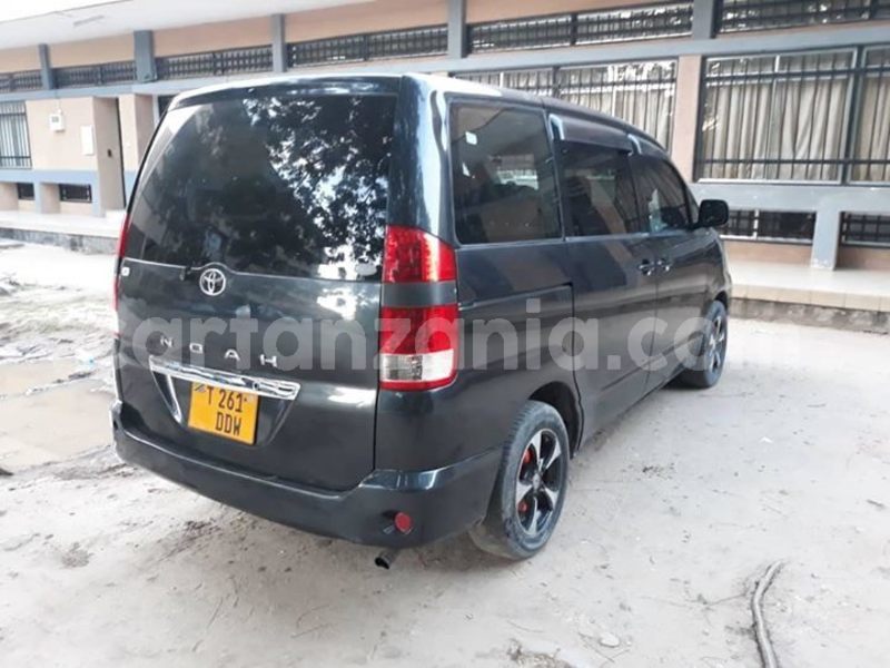 Big with watermark 51743228 193851754908537 8107878548007550976 o