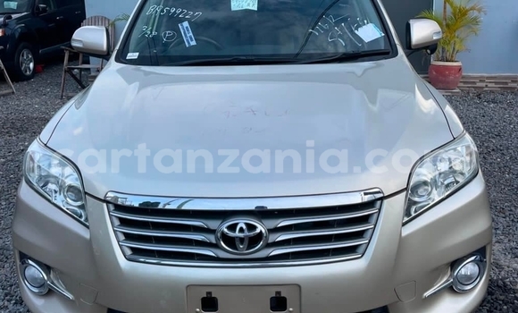 Buy Import Toyota Vanguard Beige Car in Dar es Salaam in Dar es Salaam