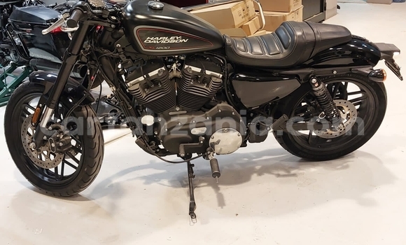 Buy Used Harley Davidson Sportster Black Bike in Arusha in Arusha