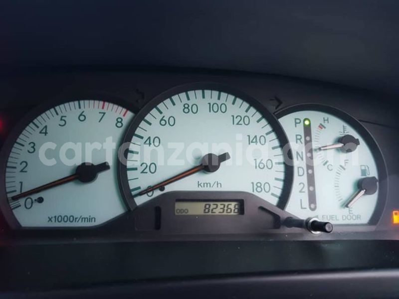 Big with watermark 52864560 182945206014114 4351979774218862592 o