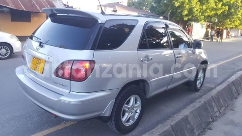 Big with watermark 52717016 182735569368411 4625170665253634048 o