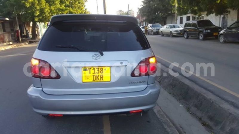 Big with watermark 53305517 182735549368413 3125281829662228480 o