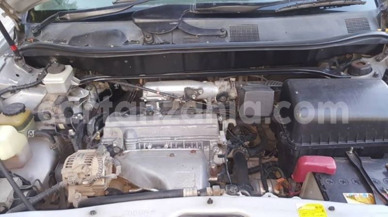 Big with watermark 52457325 182735739368394 1432793281695055872 o