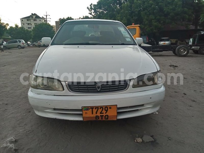 Big with watermark 51989057 180546866253948 7174885941918564352 o