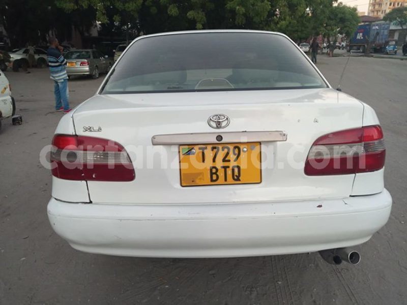 Big with watermark 51899506 180546926253942 4337554237497016320 o