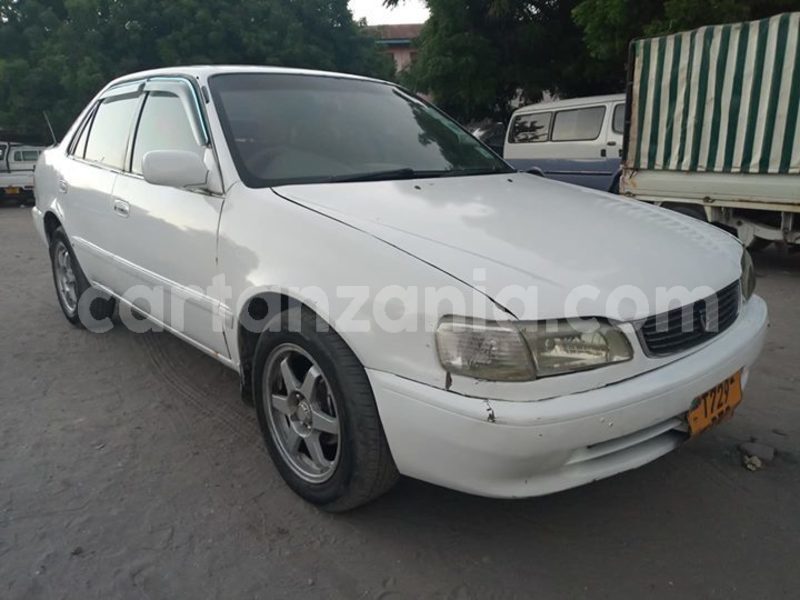 Big with watermark 52341778 180546962920605 6436911415440703488 o