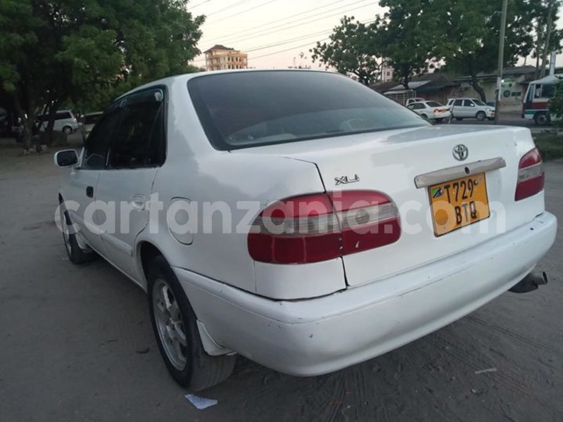 Big with watermark 52550276 180547009587267 3809689678643200000 o