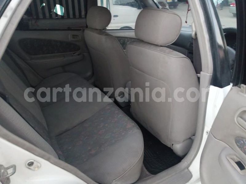 Big with watermark 51861163 180547089587259 1844374620371681280 o