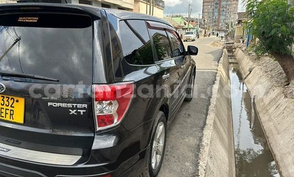 Buy Used Subaru Forester Other Car in Dar es Salaam in Dar es Salaam Buy Used Subaru Forester Other Car in Dar es Salaam in Dar es Salaam