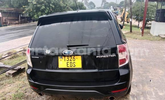 Buy Used Subaru Forester Black Car in Dar es Salaam in Dar es Salaam Buy Used Subaru Forester Black Car in Dar es Salaam in Dar es Salaam