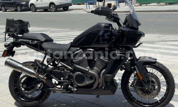 Buy Used Harley Davidson S Beige Bike in Arusha in Arusha