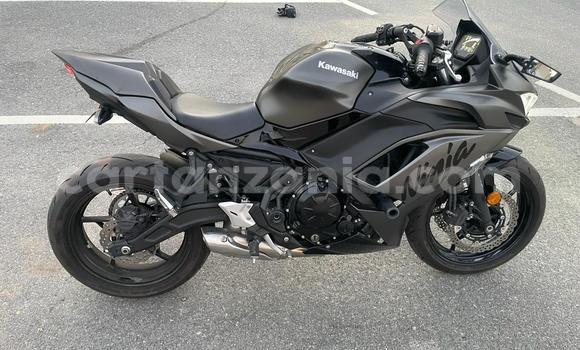 Buy Used Kawasaki Ninja Black Bike in Arusha in Arusha