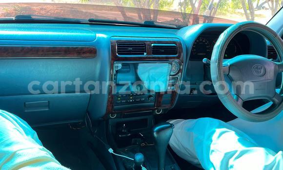 Buy Used Toyota Prado Silver Car in Lindi in Lindi