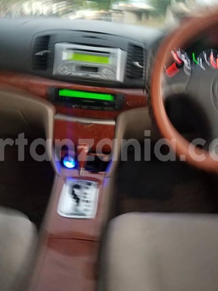 Big with watermark 52313816 149681102705433 4297207035545518080 n