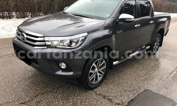 Nunua Ilio tumika Toyota Hilux Beige Gari ndani ya Arusha nchini Arusha Nunua Ilio tumika Toyota Hilux Beige Gari ndani ya Arusha nchini Arusha