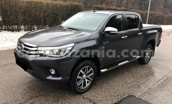 Nunua Ilio tumika Toyota Hilux Beige Gari ndani ya Arusha nchini Arusha Nunua Ilio tumika Toyota Hilux Beige Gari ndani ya Arusha nchini Arusha