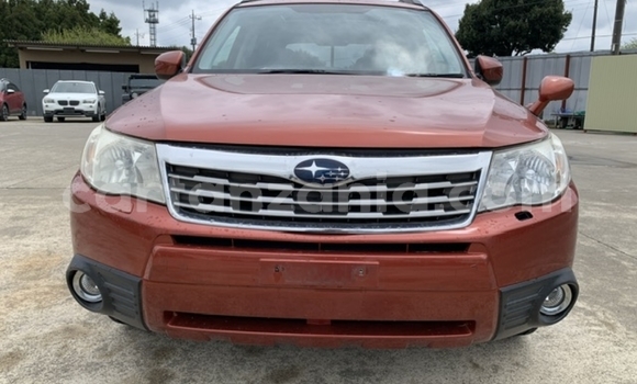 Buy Import Subaru Forester Red Car in Dar es Salaam in Dar es Salaam