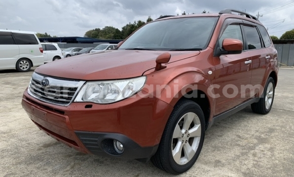 Buy Import Subaru Forester Red Car in Dar es Salaam in Dar es Salaam Buy Import Subaru Forester Red Car in Dar es Salaam in Dar es Salaam