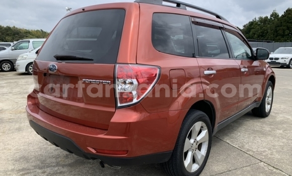 Buy Import Subaru Forester Red Car in Dar es Salaam in Dar es Salaam Buy Import Subaru Forester Red Car in Dar es Salaam in Dar es Salaam