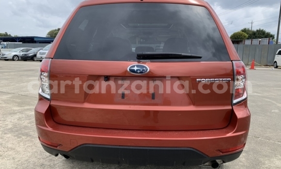 Buy Import Subaru Forester Red Car in Dar es Salaam in Dar es Salaam Buy Import Subaru Forester Red Car in Dar es Salaam in Dar es Salaam