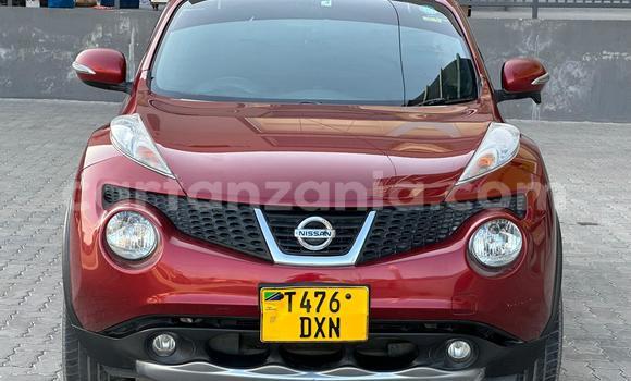 Buy Used Nissan Juke Red Car in Dar es Salaam in Dar es Salaam