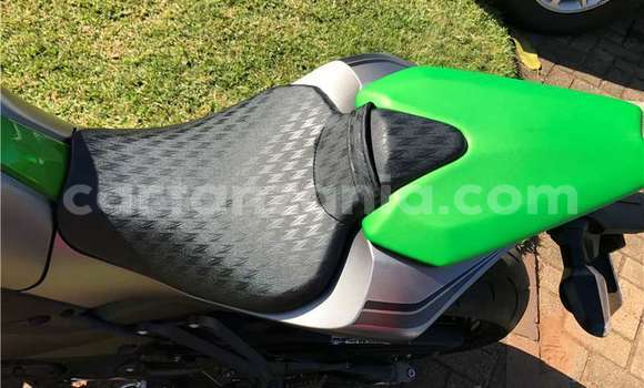 Buy Used Kawasaki Z 1000 Green Bike in Arusha in Arusha Buy Used Kawasaki Z 1000 Green Bike in Arusha in Arusha