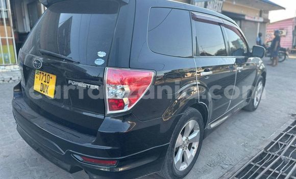 Nunua Ilio tumika Subaru Forester Nyeusi Gari ndani ya Buhigwe nchini Kigoma Nunua Ilio tumika Subaru Forester Nyeusi Gari ndani ya Buhigwe nchini Kigoma