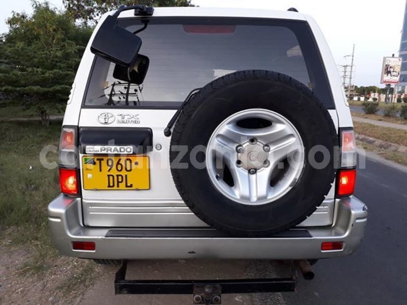 Big with watermark 53040414 10156575430856865 5432441297891753984 n