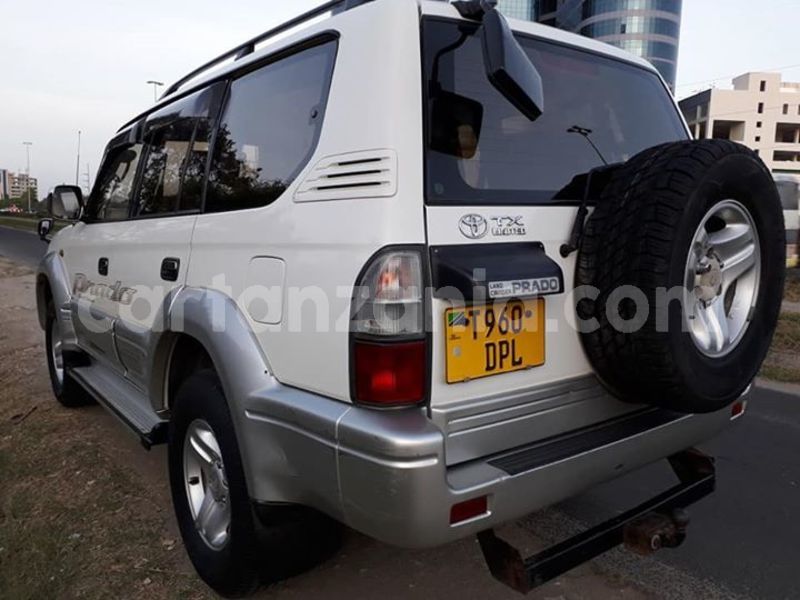 Big with watermark 53214065 10156575430676865 4125529556272545792 n