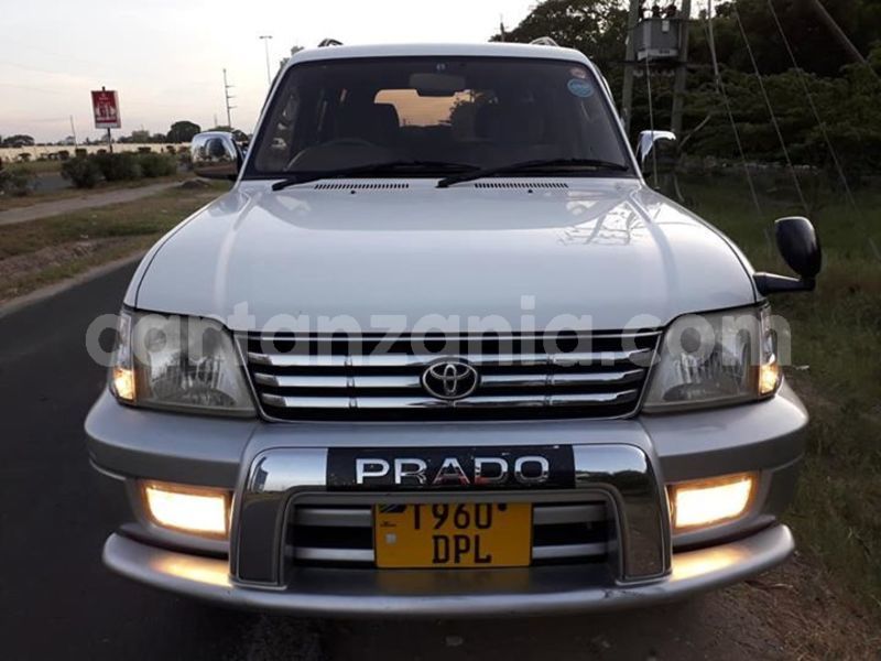 Big with watermark 53435154 10156575430561865 7964756893241442304 n