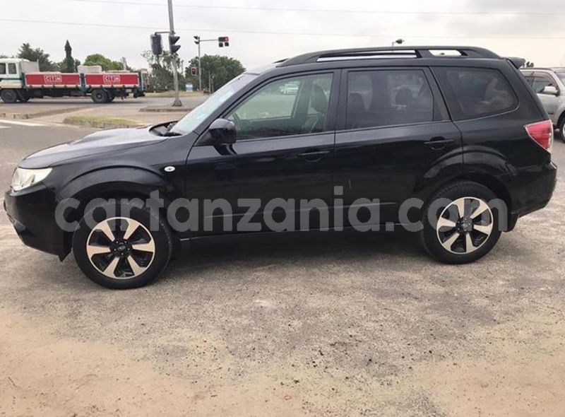 Big with watermark 53461739 10156575373686865 4987877303326343168 n