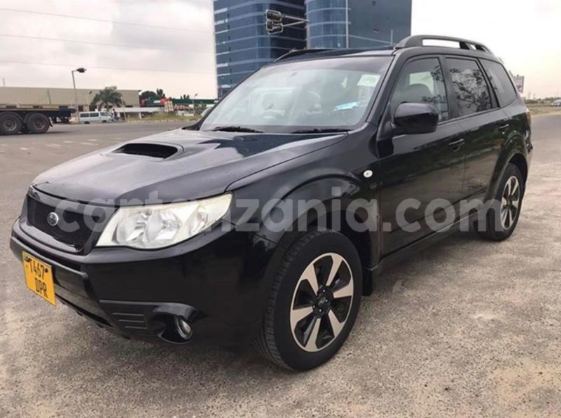 Big with watermark 53142812 10156575373786865 6351390378830069760 n