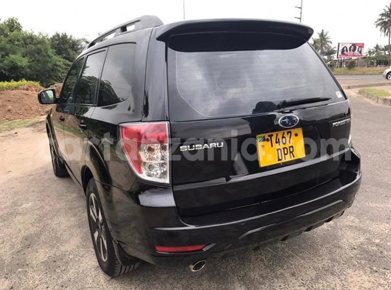 Big with watermark 53274737 10156575373946865 7518224042717872128 n