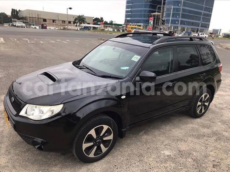 Big with watermark 52889966 10156575374021865 919503801734397952 n