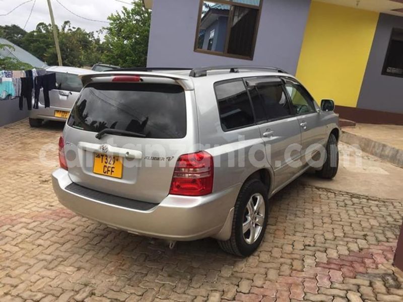 Big with watermark 52922923 10156566664766865 6950169271557160960 n