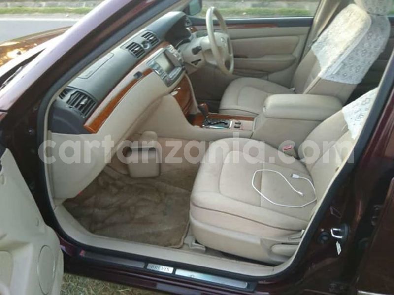 Big with watermark 52698873 10156559312791865 4400160163294609408 n