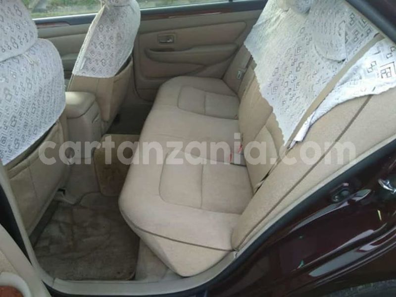 Big with watermark 52854563 10156559312861865 6180189537847738368 n