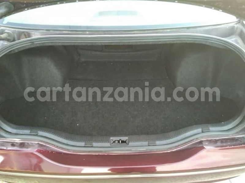 Big with watermark 52673034 10156559312961865 4021222410018619392 n