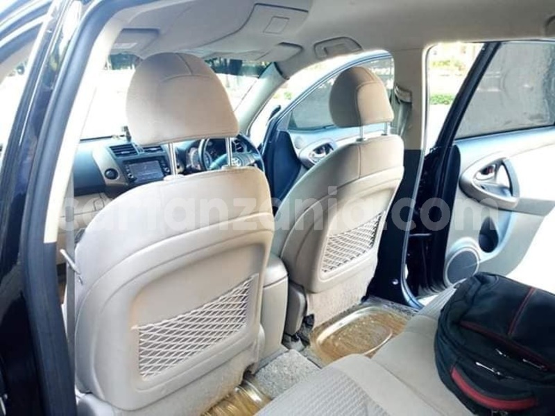 Big with watermark 51975499 10156543172321865 3236624699282685952 n