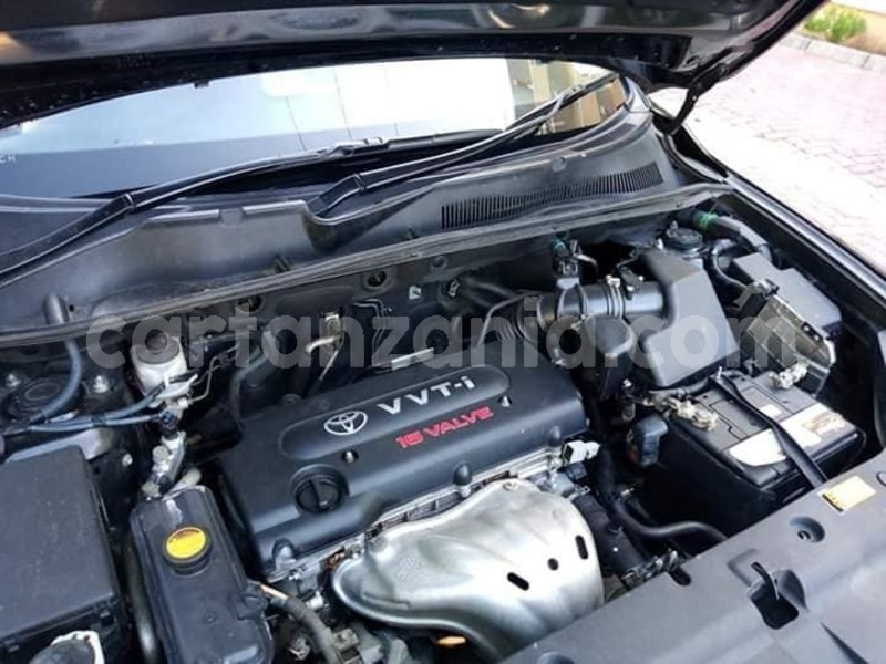 Big with watermark 51973166 10156543172466865 407843952624926720 n