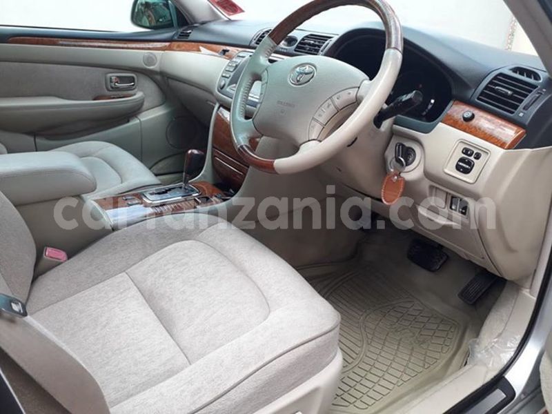 Big with watermark 51760245 10156540654406865 4996308521696886784 n